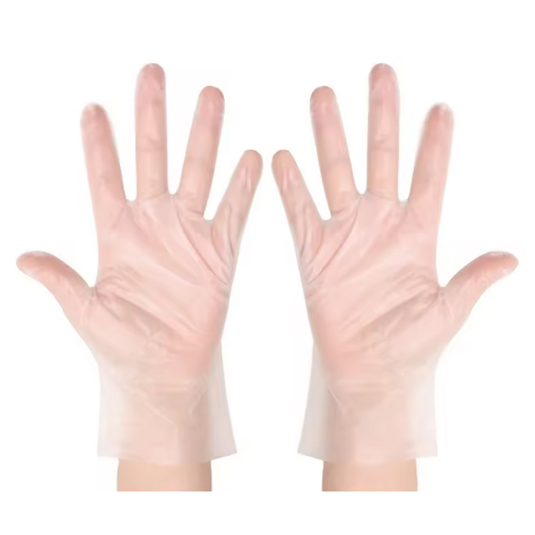 Disposable TPE Gloves TPE Transparent Film Plastic Gloves